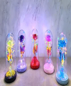 Işıklı Müzikli Romantik Kelebekli Fanus içinde Gül  SPR5000