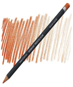 Supertrend Procolour Kuru Boya Kalemi 62 AUTUMM LEAF