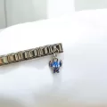 Animasyon Kahraman Detaylı İtalyan Charm