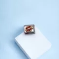Kırmızı Uğur Böceği Detaylı Charm