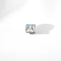 Köpek Detaylı Charm