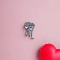 Sallantılı Akrep Burcu Charm Gümüş Renk