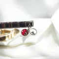 Sallantılı Kırmızı Çift İtalyan Charm