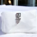 Taşlı Fiyonk Desenli İtalyan Charm