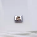Zirkon Taşlı Harf Charm C