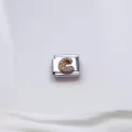 Zirkon Taşlı Harf Charm C