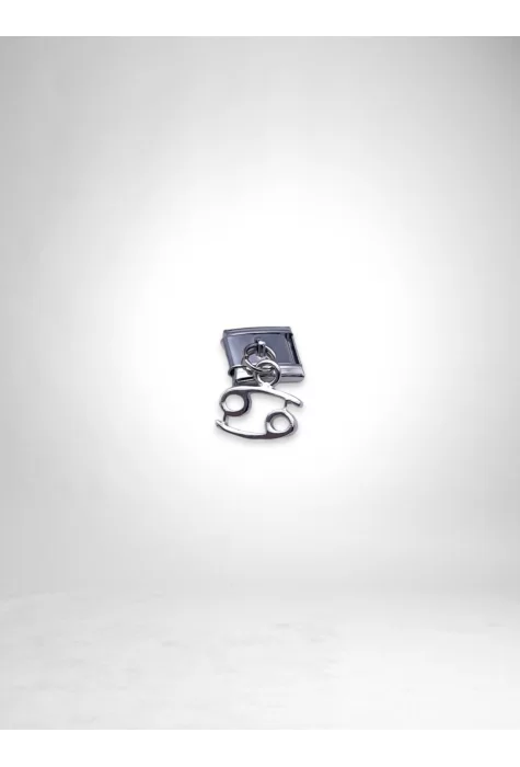 Sallantılı Yengeç Burcu Charm Gümüş Renk