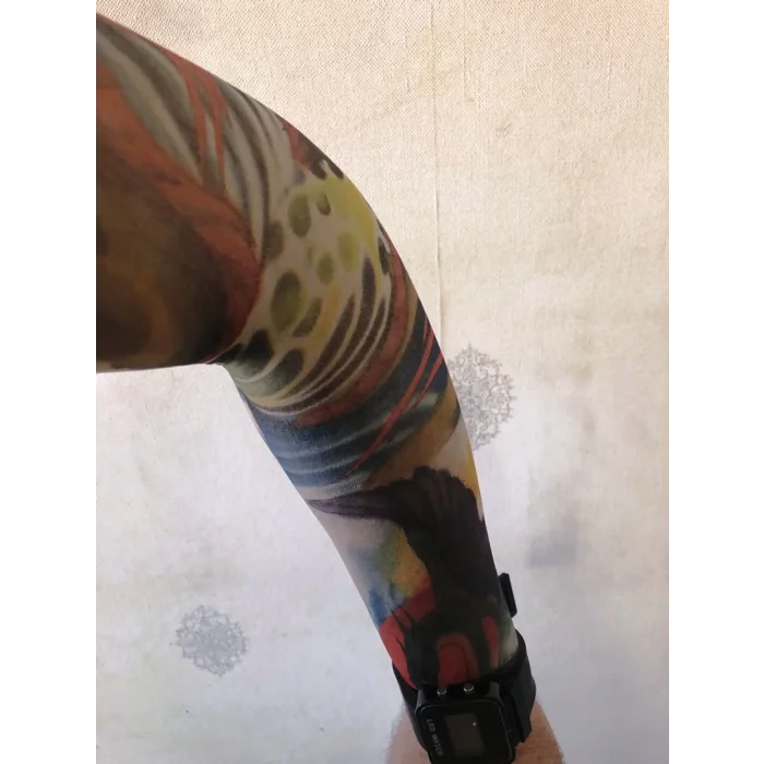 Çift Kol Giyilebilir Dövme Pençe Desenler Tattoo Sleeve