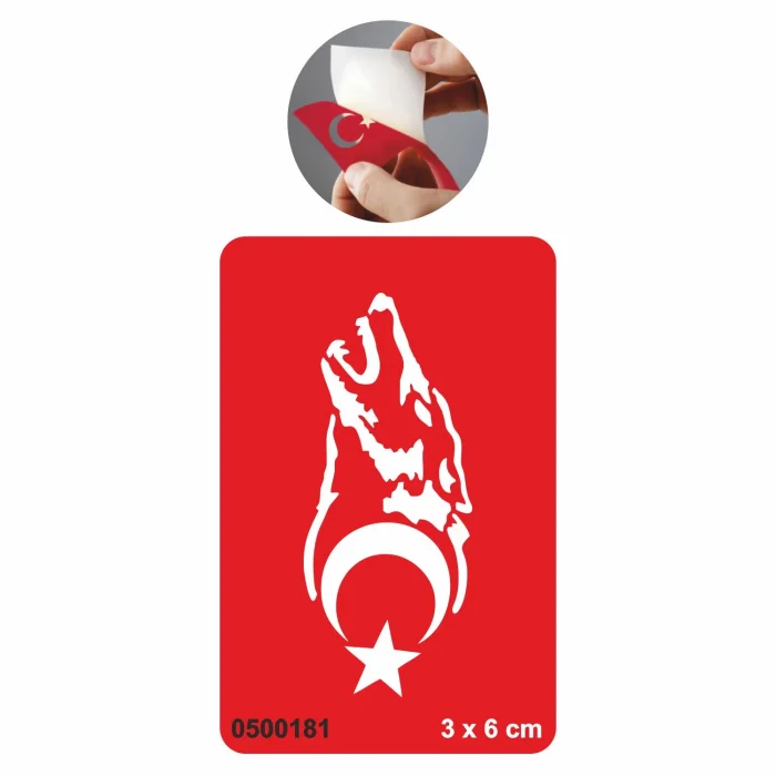 Gökbörü Dövme Şablonu Kına Deseni