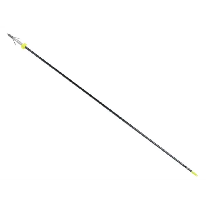 Impetus Balık Avı Oku