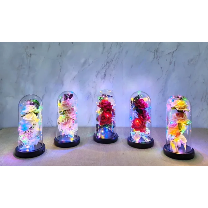 Işıklı Müzikli Cam Fanus İçinde Romantik Gül  SPR5004