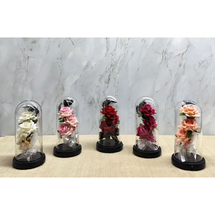 Işıklı Müzikli Cam Fanus İçinde Romantik Gül  SPR5004