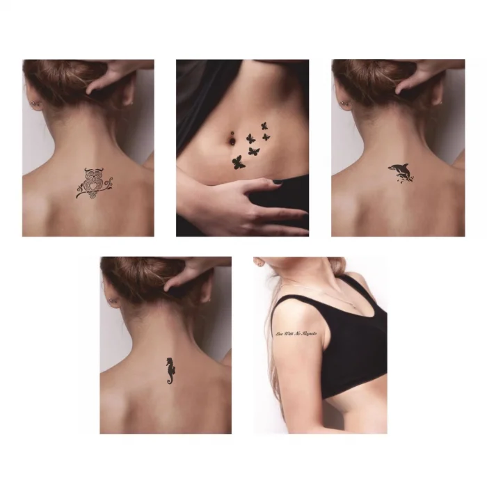 Kuş ve Balık Desenleri Hint Kınası ile Geçici Dövme Yapma Seti