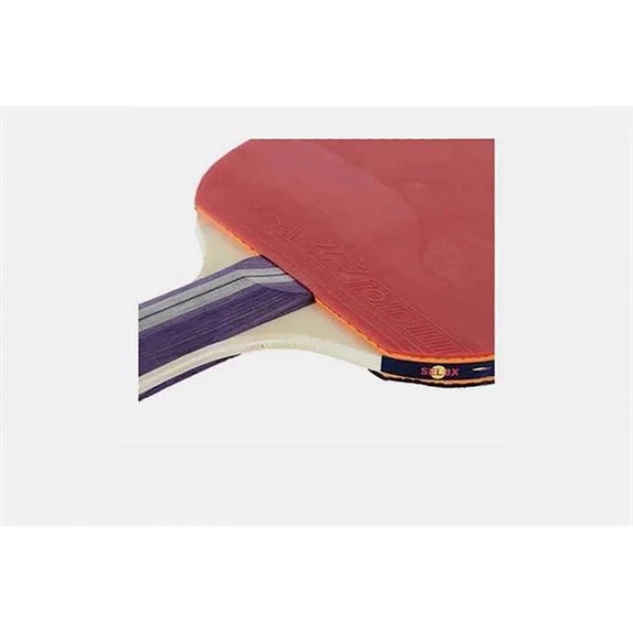 Supertrend WTR02 Masa Tenisi Raket Set