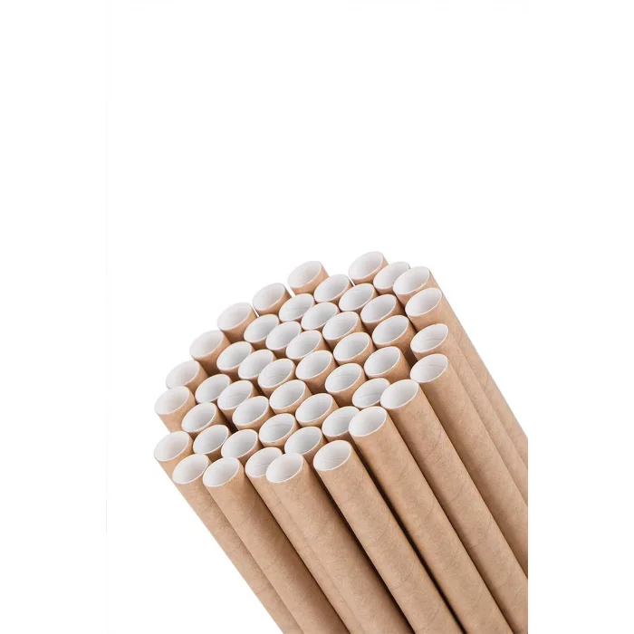 Supertrend Frozen Kağıt Pipet Kraft Kağıt Sargılı 8mm x 19,5cm - 100 Adet