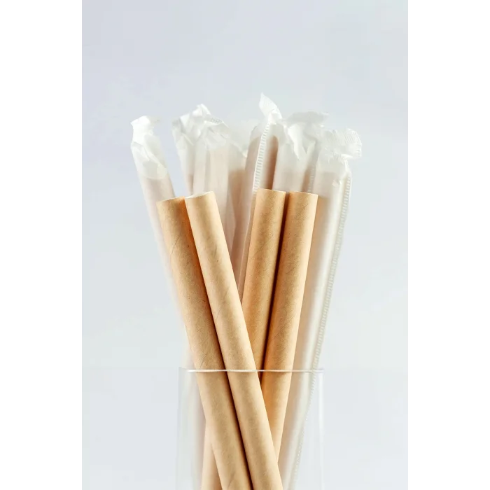 Supertrend Frozen Kraft Kağıt Pipet Kağıt Sargılı 8mm x 24cm - 100 Adet