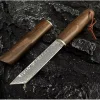 Damascus Tanto Japon Bıçağı