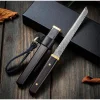 Liuzhangyu Damascus Mini Katana