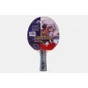 Supertrend 4 Yıldız Masa Tenisi Raketi