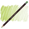 Supertrend Coloursoft Pencil Yumuşak Kuruboya Kalemi C440 Light Green