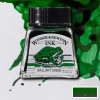 Supertrend Drawing Ink Çizim Mürekkebi 14 ml. 046 Brilliant Green