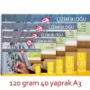 Supertrend Eskiz Çizim Defteri 120 gr. A3 40 yp.