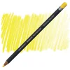 Supertrend Procolour Kuru Boya Kalemi 03 BUTTERCUP YELLOW