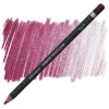 Supertrend Procolour Kuru Boya Kalemi 15 PLUM