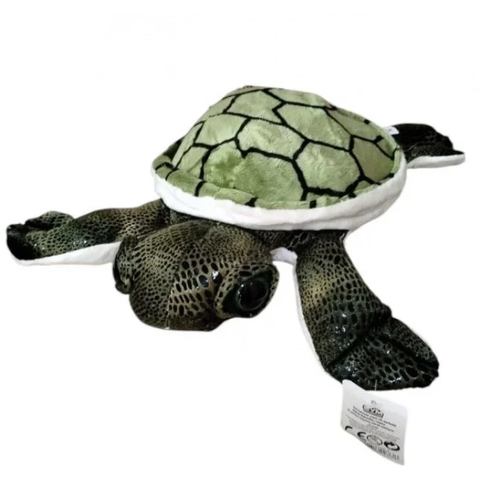 PELUS CARETTA  KAPLUMBAGA