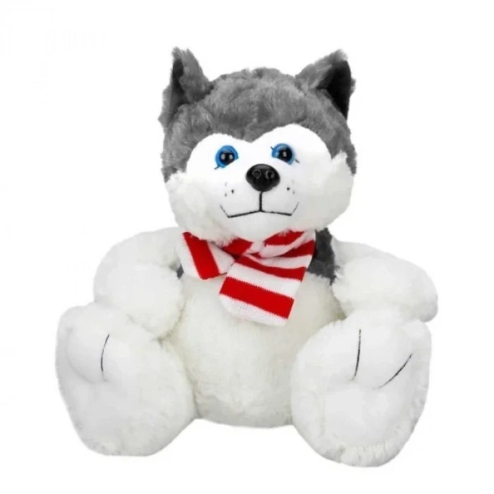 PELUS OTURAN KOPEK HUSKY ATKILI