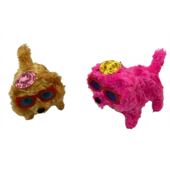 SAPKALI PILLI YURUYEN KOPEK