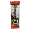 KUTULU ELEKTRO GITAR
