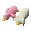 PELUS ORDEK