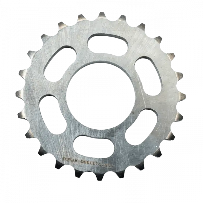 Porsche Cayenne Panamera Eksantrik Dişlisi 65810133300 WISCO