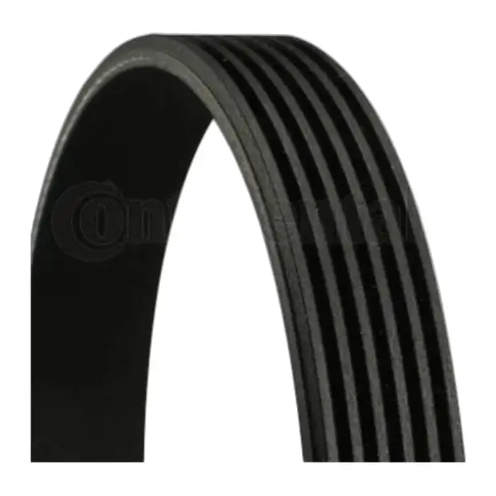 VW Passat V5 2.3 2000-2005 V Kayisi 12626222 Contitech