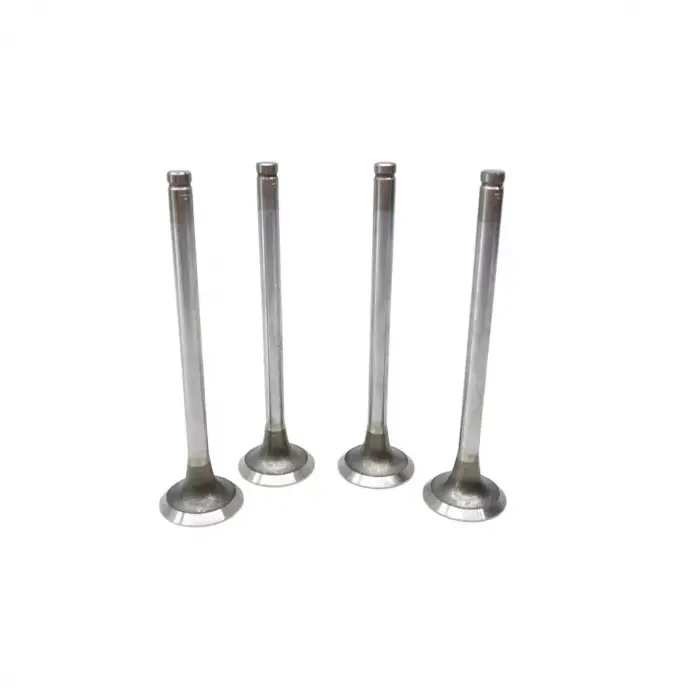 Opel Ascona C Astra F G Kadett D E Vectra A 1.6 D 1.7 TD 16D 16DA 1981- Subap Egzost