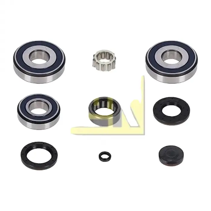 VW Ford Mercedes Benz BMW Sanzuman Rulmani 23X38X20 23211224802 INA
