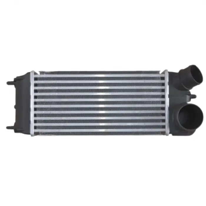 Ford Fiesta 6 (CB1, Ccn) 2008-2012 Fiesta 6 Van 2009- Turbo Radyatörü Intercooler 300X142X80 8V519L440AB Wisco