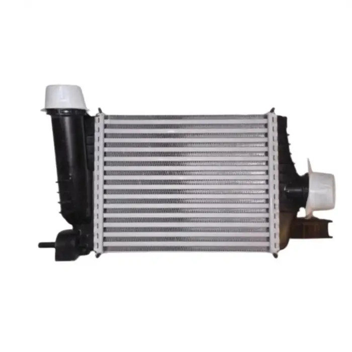 Dacia Duster 2012- Renault Captur 2012- Turbo Radyatörü Intercooler 256X217X64 8ML376988164 Wisco