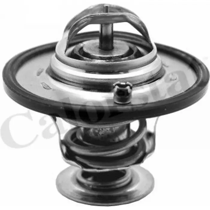 Chevrolet Captiva C140 2.0D LNP 12 2010-2015 Termostat 96868335 GM