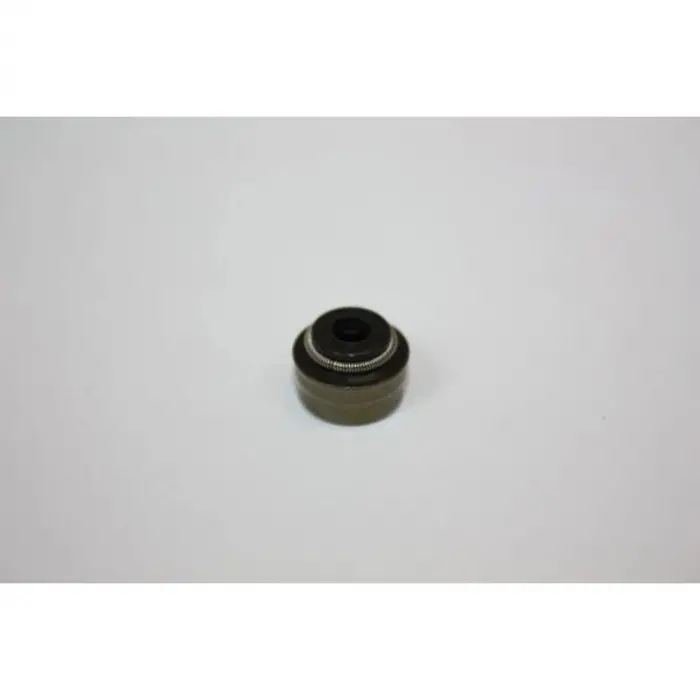 Opel Corsa 2012- Subap Lastigi 55190344 Victor Reinz