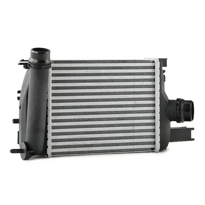 Renault Captur 2012- Turbo Radyatörü Intercooler 256X218X62 8ML376988154 Wisco