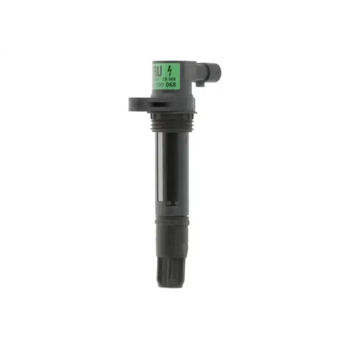 Ateşleme Bobini L-Rover