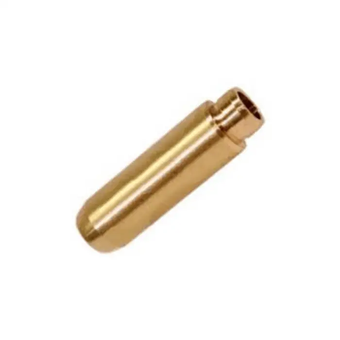 BMW E30 E34 E36 E39 M21 M51 Supap Gaydı Trost TRO-8111103