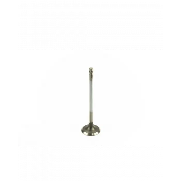 BMW Supap M50 M52 M54 Emme [E34 E36 E39 E46 E60] 320/520i