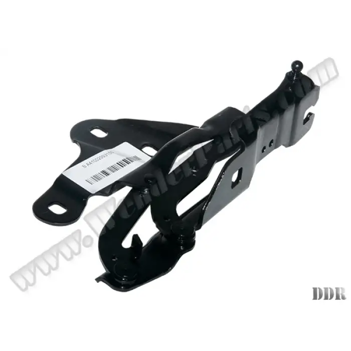 Kaput Menteşesi X1:E84 Sağ