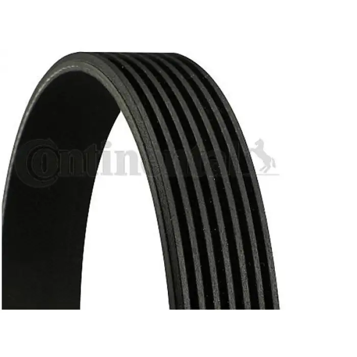 Kayış CNT_7PK1855 Contitec