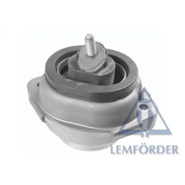 Motor Kulağı X5:E53 [M54]