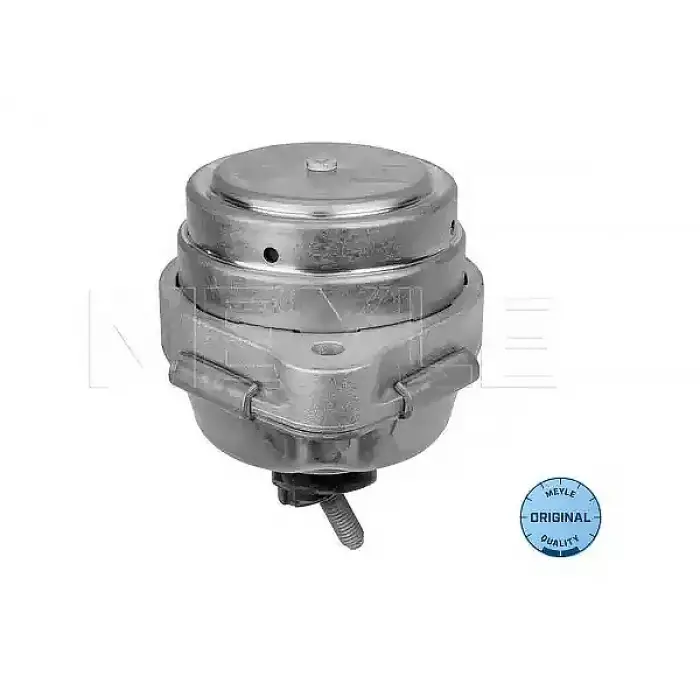 Motor Kulağı X5:E53 [M57/N]
