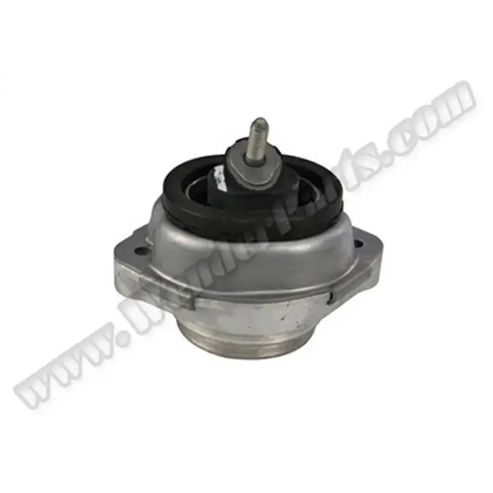 Motor Kulağı X5:E53 [M62 N62]